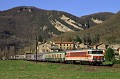CC6575 (1)